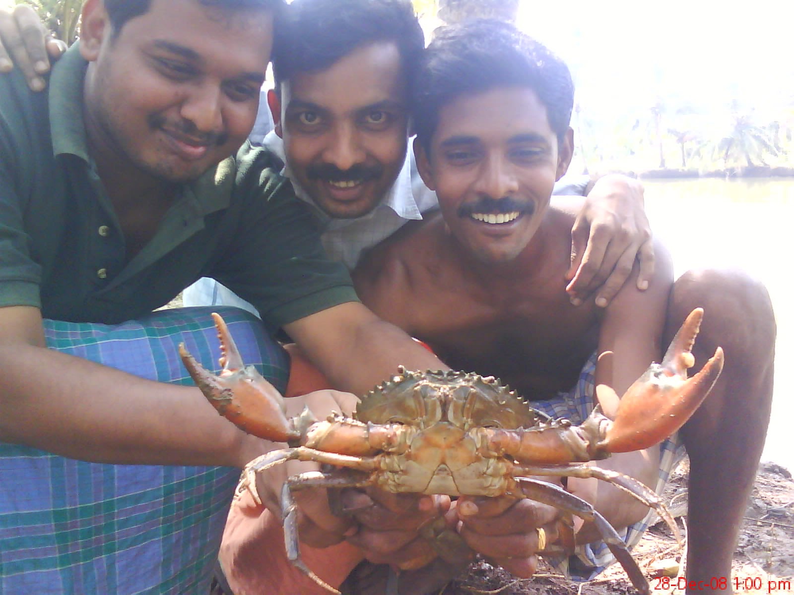 ഒരു ഞണ്ട്‌ വേട്ടയുടെ ചരിത്രം