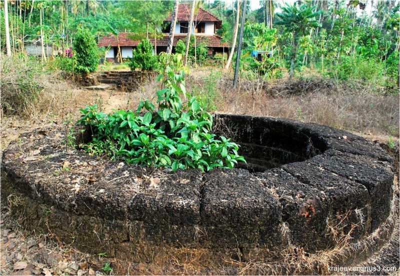 വിദ്യാധരന് പോറ്റിയുടെ ദര്‍ശനം